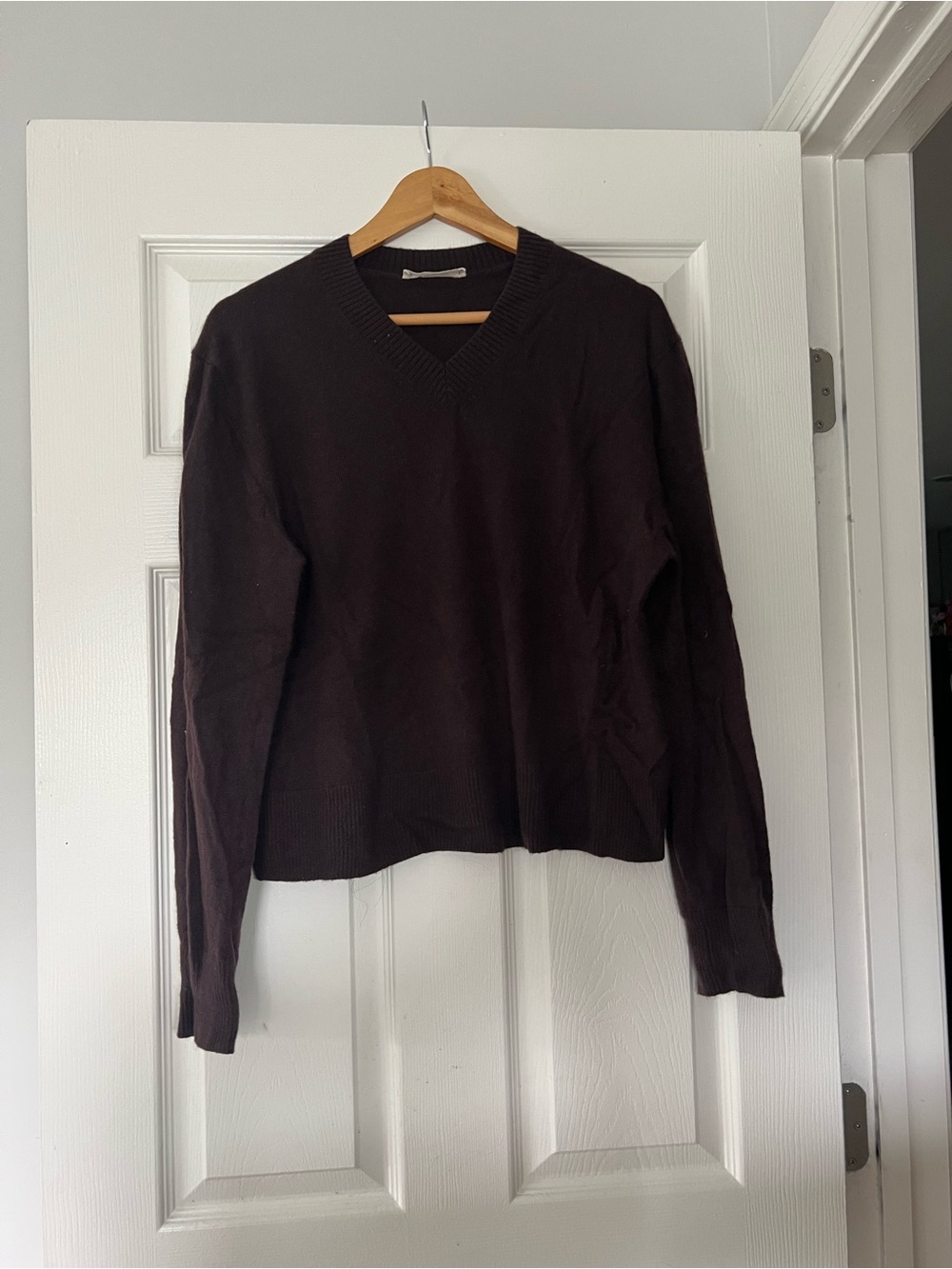 Everlane Cashmere Brown V‑Neck Sweater